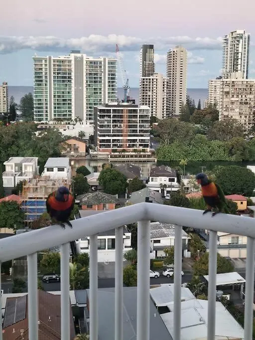 Surfers Paradise Penthouse & Rooftop Plunge Pool Gold Coast